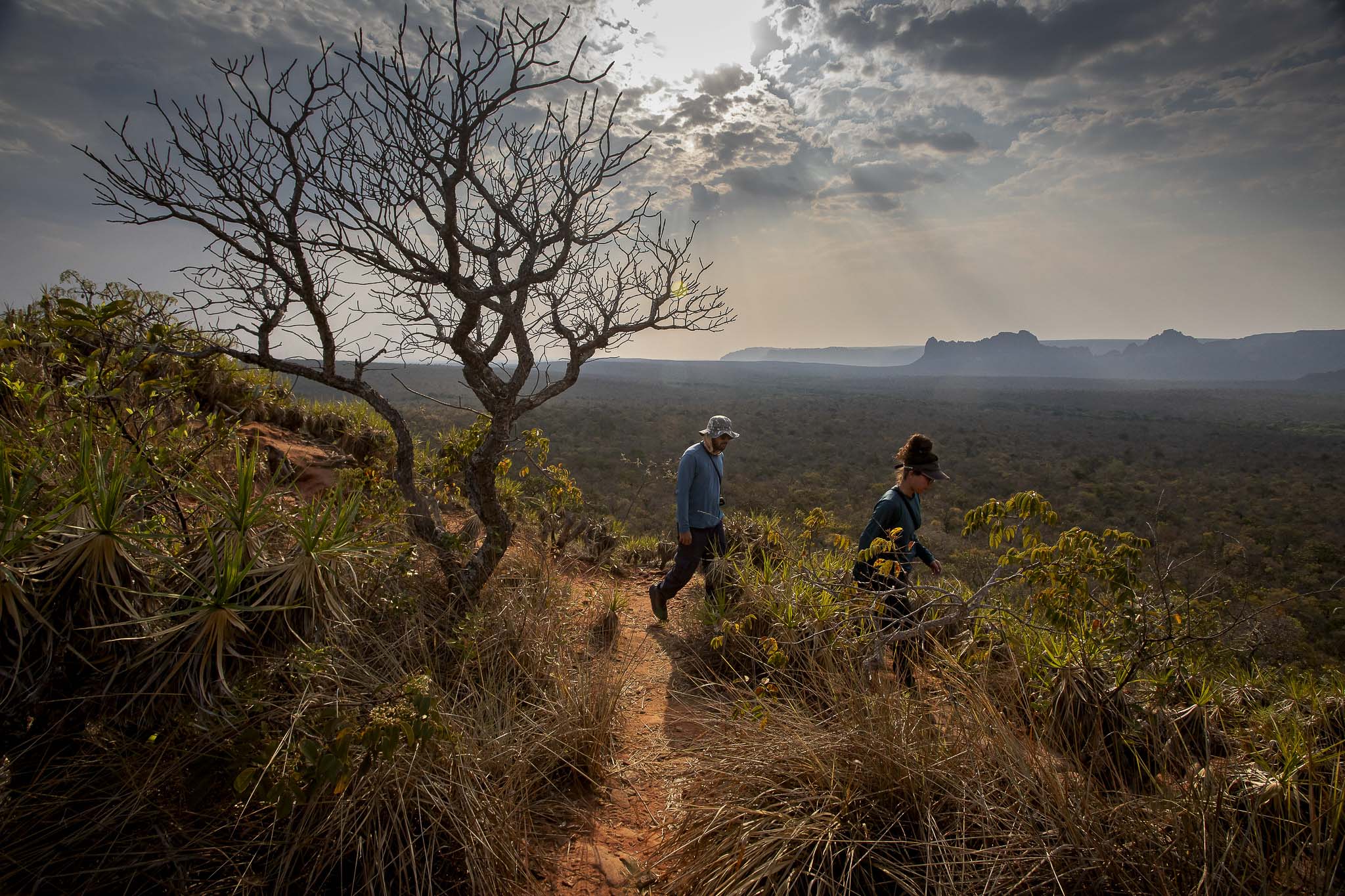 Imagem Expedição Chap Guim - ESEC Serra das Araras--27 da expedição de expedicoes/araras_25